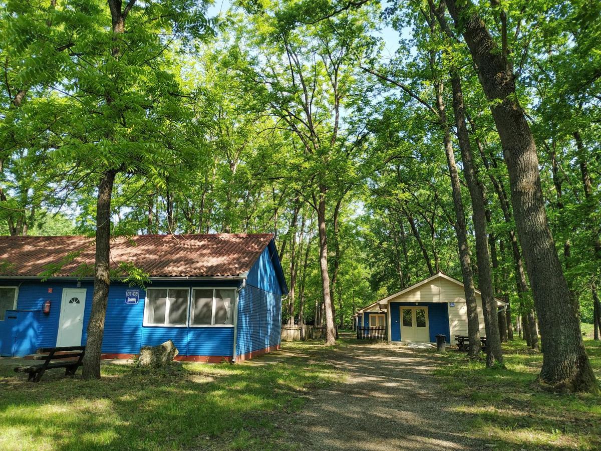 Dorcas Center&Camping Otel Debrecen Dış mekan fotoğraf